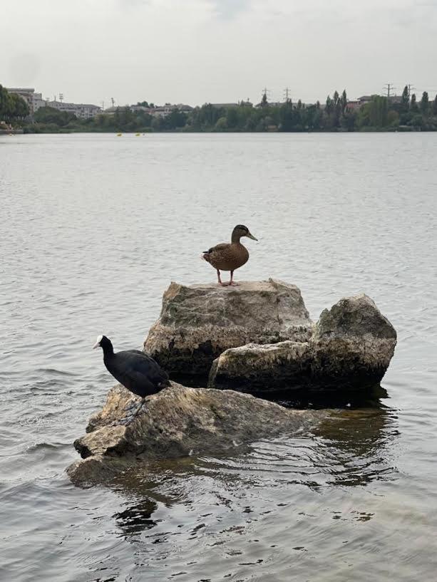 Vue Exceptionnelle Sur Le Lac Κρετέιγ Εξωτερικό φωτογραφία